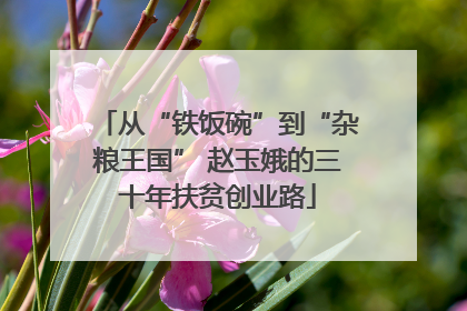 从“铁饭碗”到“杂粮王国” 赵玉娥的三十年扶贫创业路