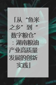 从“鱼米之乡”到“数字粮仓”：湖南粮油产业高质量发展的创新实践