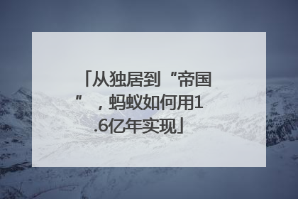 从独居到“帝国”，蚂蚁如何用1.6亿年实现