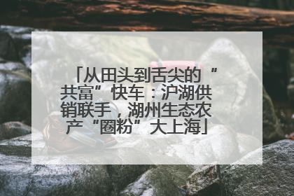 从田头到舌尖的“共富”快车：沪湖供销联手，湖州生态农产“圈粉”大上海