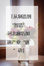 从制造到“智造”，河北廊坊加速产业“链”动