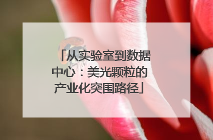 从实验室到数据中心：美光颗粒的产业化突围路径