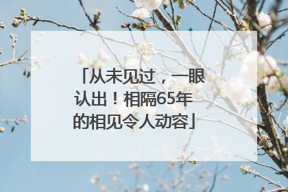 从未见过，一眼认出！相隔65年的相见令人动容