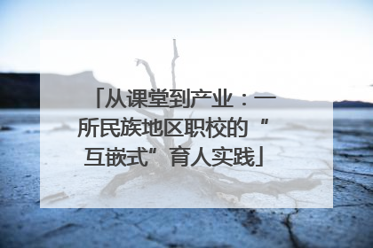 从课堂到产业：一所民族地区职校的“互嵌式”育人实践