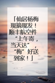 仙居杨梅现摘现发！顺丰航空件“上午寄，当天达”，“梅”好送到家！