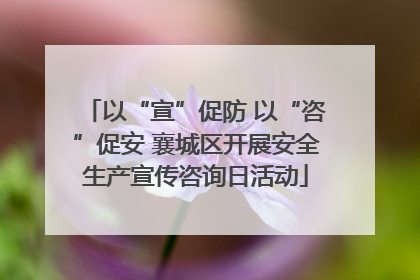 以“宣”促防 以“咨”促安 襄城区开展安全生产宣传咨询日活动