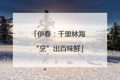 伊春：千里林海“烹”出百味鲜