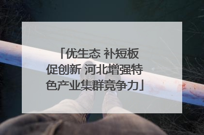 优生态 补短板 促创新 河北增强特色产业集群竞争力