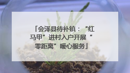 会泽县待补镇：“红马甲”进村入户开展“零距离”暖心服务