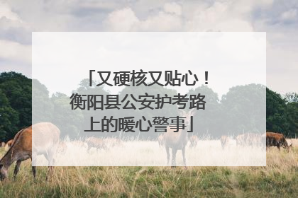 又硬核又贴心！衡阳县公安护考路上的暖心警事