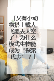 又有小动物搭上载人飞船去太空了！为什么模式生物能成为“探索代表”？