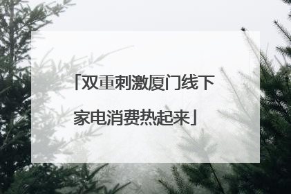 双重刺激厦门线下家电消费热起来