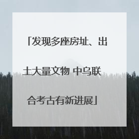 发现多座房址、出土大量文物 中乌联合考古有新进展
