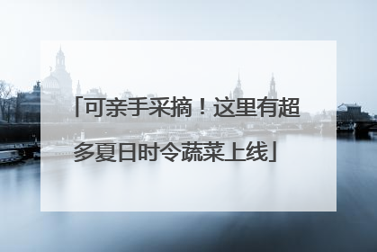 可亲手采摘！这里有超多夏日时令蔬菜上线