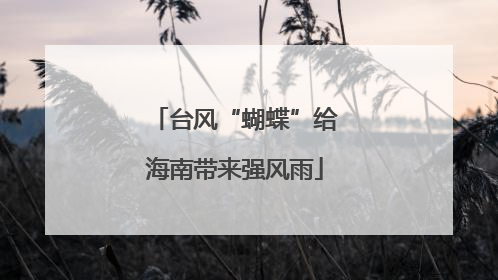 台风“蝴蝶”给海南带来强风雨