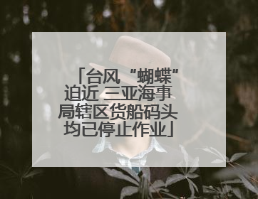 台风“蝴蝶”迫近 三亚海事局辖区货船码头均已停止作业