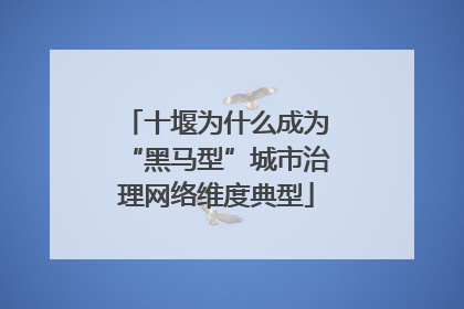 十堰为什么成为“黑马型”城市治理网络维度典型