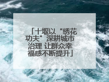 十堰以“绣花功夫”深耕城市治理 让群众幸福感不断提升