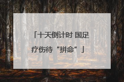 十天倒计时 国足疗伤待“拼命”