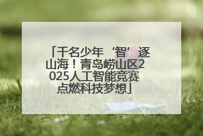 千名少年‘智’逐山海！青岛崂山区2025人工智能竞赛点燃科技梦想