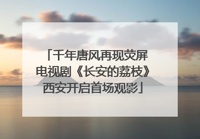 千年唐风再现荧屏 电视剧《长安的荔枝》西安开启首场观影