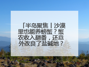 半岛聚焦丨沙漠里也能养螃蟹？蟹农收入翻番，还意外改良了盐碱地？咋做到的？
