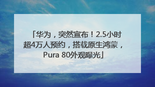 华为，突然宣布！2.5小时超4万人预约，搭载原生鸿蒙，Pura 80外观曝光