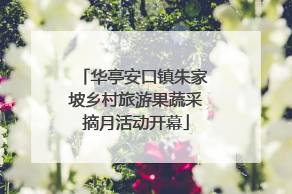 华亭安口镇朱家坡乡村旅游果蔬采摘月活动开幕