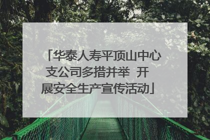 华泰人寿平顶山中心支公司多措并举  开展安全生产宣传活动