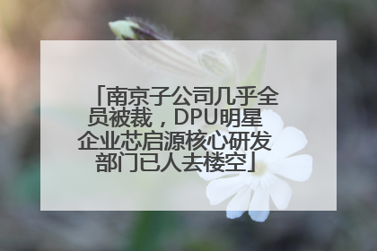 南京子公司几乎全员被裁，DPU明星企业芯启源核心研发部门已人去楼空