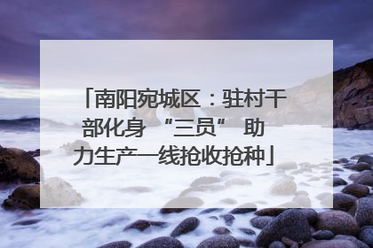 南阳宛城区：驻村干部化身 “三员” 助力生产一线抢收抢种