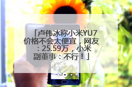 卢伟冰称小米YU7价格不会太便宜，网友：25.59万，小米副董事：不行！