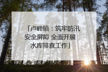 卢峰镇：筑牢防汛安全屏障 全面开展水库排查工作