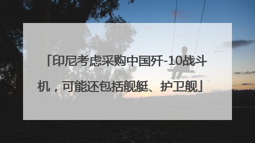 印尼考虑采购中国歼-10战斗机，可能还包括舰艇、护卫舰