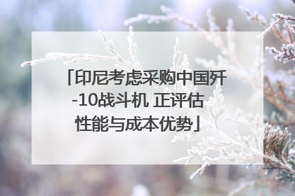 印尼考虑采购中国歼-10战斗机 正评估性能与成本优势