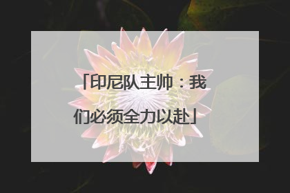 印尼队主帅：我们必须全力以赴