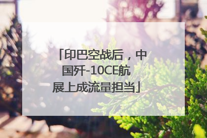 印巴空战后，中国歼-10CE航展上成流量担当