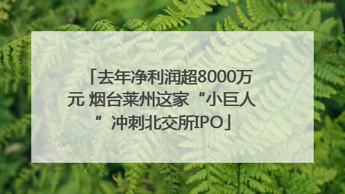 去年净利润超8000万元 烟台莱州这家“小巨人”冲刺北交所IPO