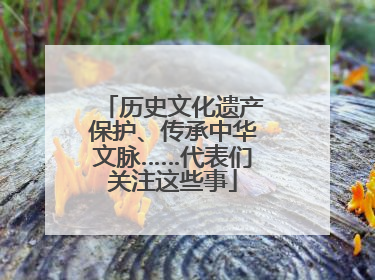 历史文化遗产保护、传承中华文脉……代表们关注这些事