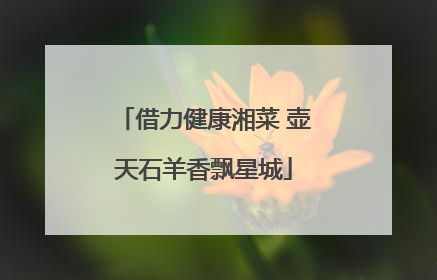 借力健康湘菜 壶天石羊香飘星城