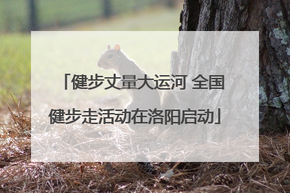 健步丈量大运河 全国健步走活动在洛阳启动