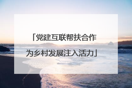 党建互联帮扶合作 为乡村发展注入活力