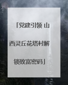党建引领 山西灵丘花塔村解锁致富密码