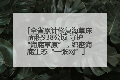 全省累计修复海草床面积938公顷 守护“海底草原”，织密海底生态“一张网”