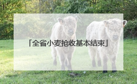 全省小麦抢收基本结束