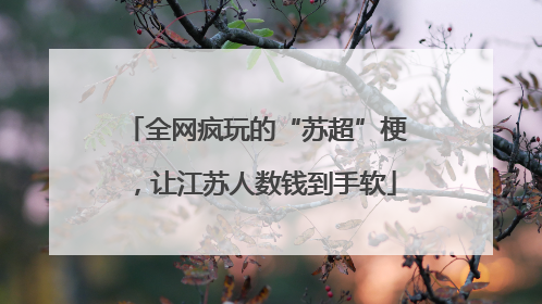 全网疯玩的“苏超”梗，让江苏人数钱到手软
