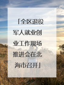 全区退役军人就业创业工作现场推进会在北海市召开