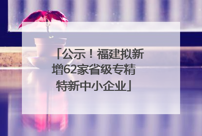 公示！福建拟新增62家省级专精特新中小企业