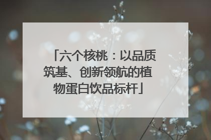 六个核桃：以品质筑基、创新领航的植物蛋白饮品标杆