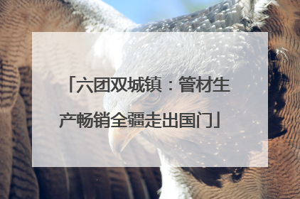 六团双城镇：管材生产畅销全疆走出国门